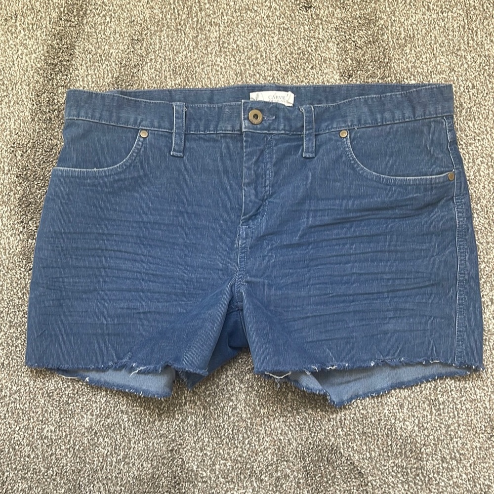 Carve Designs Blue Women Shorts